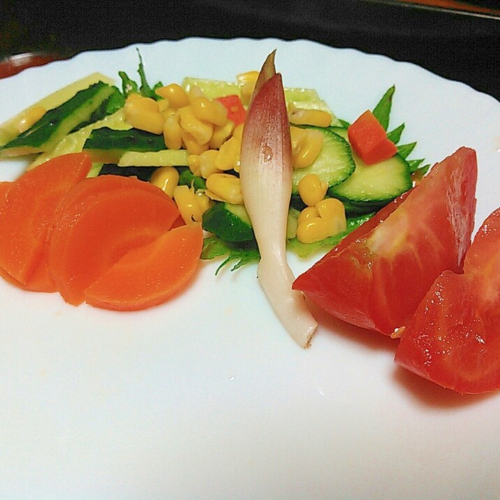 彩り綺麗な夏野菜サラダ レシピ 作り方 By あけぼのマジック 楽天レシピ 彩り綺麗な夏野菜サラダ レシピ 作り方 By あけぼのマジック 楽天レシピ